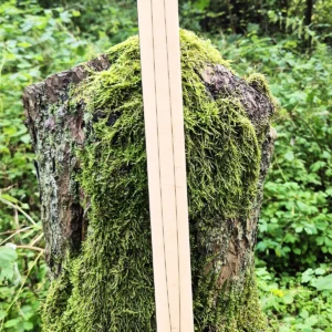 Puidust viikingimõõk lastele